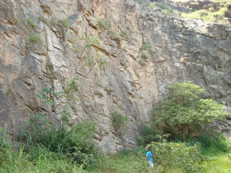Orbita